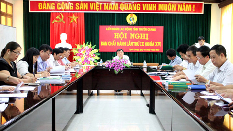 Liên đoàn Lao động tỉnh triển khai nhiệm vụ 6 tháng cuối năm 2015