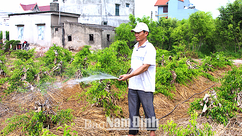 Dự báo thời tiết, thủy văn đêm 26-7-2015 ngày 27-7-2015 tỉnh Nam Định