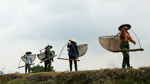 Đánh giậm bắt cá