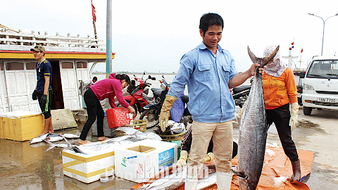 Hỗ trợ, tạo điều kiện cho ngư dân bám biển, vươn khơi