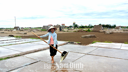 Gian nan nghề muối