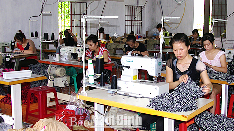 Hội Nông dân xã Tân Khánh tích cực hỗ trợ hội viên phát triển kinh tế