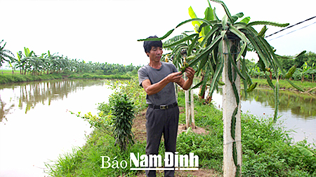 Dự báo thời tiết, thủy văn đêm 18-8-2015 ngày 19-8-2015 tỉnh Nam Định