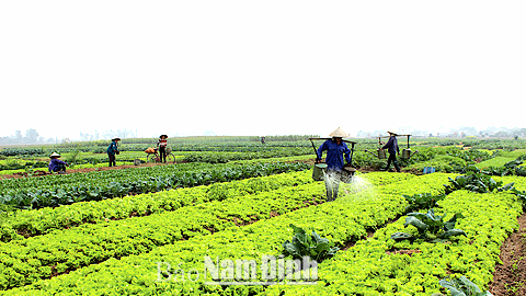 &quot;Cuốc cày là vũ khí, nhà nông là chiến sĩ&quot;