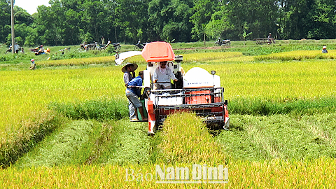 Sáng tạo khoa học kỹ thuật vì mục tiêu phát triển