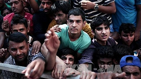 Slovenia sẵn sàng tiếp nhận 2.000 người nhập cư