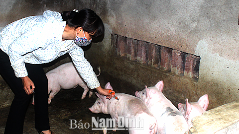 Trực Ninh làm tốt công tác tiêm phòng vắc-xin vụ thu