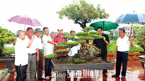 Triển lãm Sinh vật cảnh chào mừng Đại hội Đảng bộ tỉnh lần thứ XIX