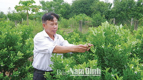 Hỗ trợ tìm đầu ra cho sản phẩm của nông dân