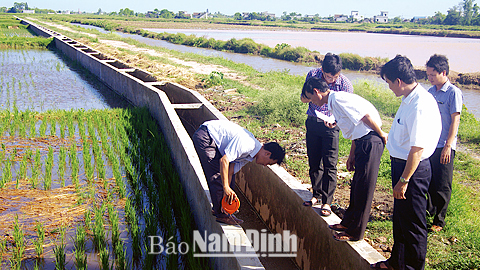 Phát huy vai trò của Hội Nông dân trong xây dựng nông thôn mới