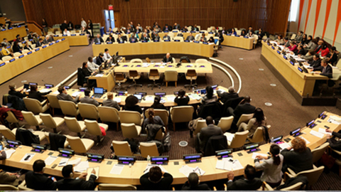 Việt Nam trúng cử vào Hội đồng Kinh tế Xã hội Liên hợp quốc