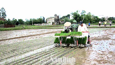 Quan tâm bảo đảm an toàn vệ sinh lao động trong sản xuất nông nghiệp