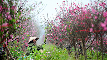 Người lao động được nghỉ 22 ngày lễ, Tết năm 2016