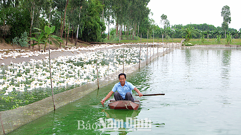 Làm giàu từ mô hình trang trại