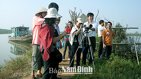 Du lịch Vườn quốc gia Xuân Thuỷ trong mùa chim di trú