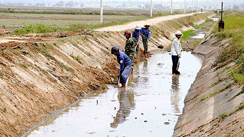 Đồng chí Phó Chủ tịch UBND tỉnh Nguyễn Viết Hưng  kiểm tra công tác chống hạn tại huyện Mỹ Lộc