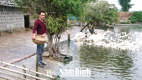 Dự báo thời tiết, thủy văn đêm 30-12-2015 ngày 31-12-2015 tỉnh Nam Định