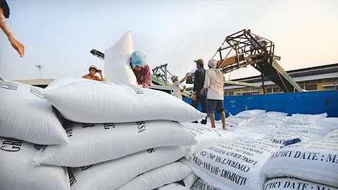 Chính phủ yêu cầu khẩn trương xây dựng chiến lược xuất khẩu gạo
