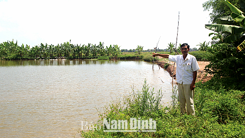 Làm giàu từ mô hình trang trại