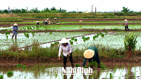 Vận động nông dân hạn chế sử dụng thuốc bảo vệ thực vật để bảo vệ môi trường