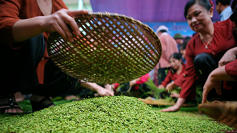 Hà Nội: Ngày hội văn hóa cốm Mễ Trì 2016