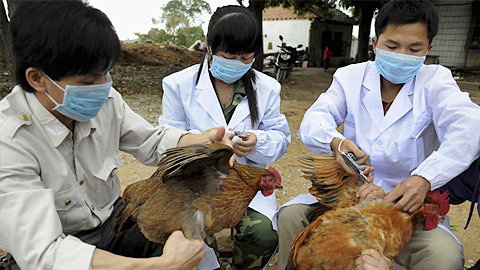 Chủ động phòng chống cúm A (H1N1) trong mùa đông xuân