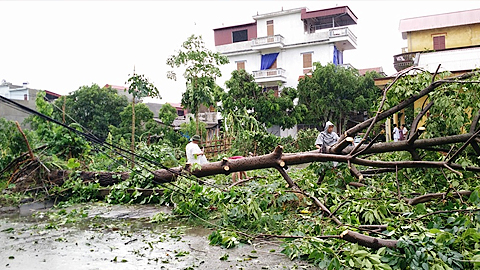 Hỗ trợ 12 địa phương khắc phục thiệt hại do bão, lũ