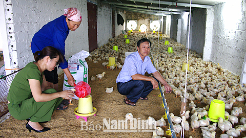 Những "thủ lĩnh nông dân"