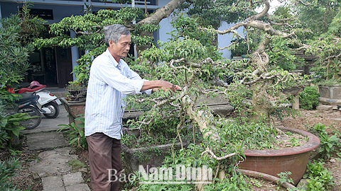 Cựu chiến binh phường Lộc Hạ  giúp nhau phát triển kinh tế