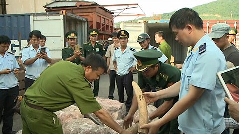 Tích cực đấu tranh ngăn chặn xâm hại động vật hoang dã