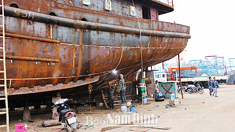 Xuân Ninh tập trung phát triển kinh tế nông thôn