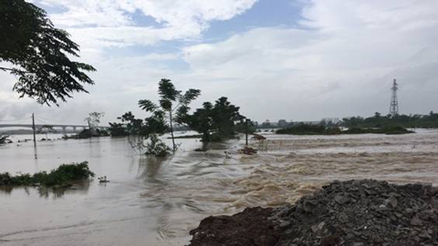 Tin lũ trên sông Hồng, sông Đào, sông Ninh Cơ, sông Đáy