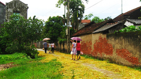 Lối cũ ta về