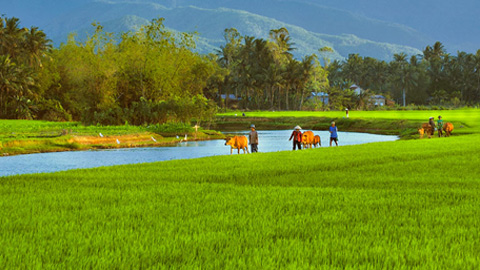 Dòng sông mùa nước cạn