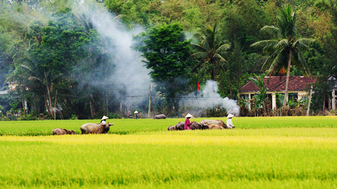 Đoản khúc mùa đông