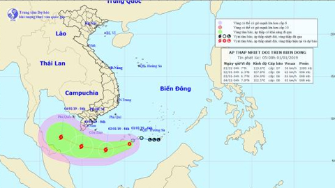 Tin bão gần bờ (Cơn bão PABUK - bão số 1 năm 2019)