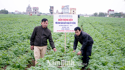 Đẩy mạnh các phong trào nông dân thi đua sản xuất, kinh doanh giỏi