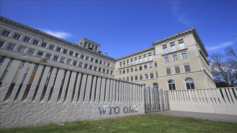 WTO ra phán quyết Trung Quốc trợ giá một số sản phẩm nông nghiệp