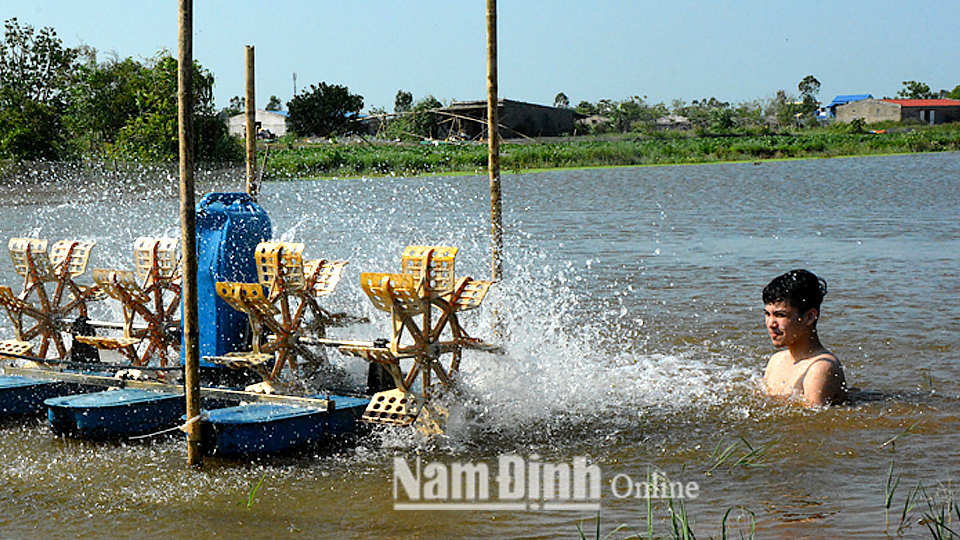 Dự báo thời tiết thủy văn đêm 26 ngày 27-6-2019 trên địa bàn tỉnh Nam Định