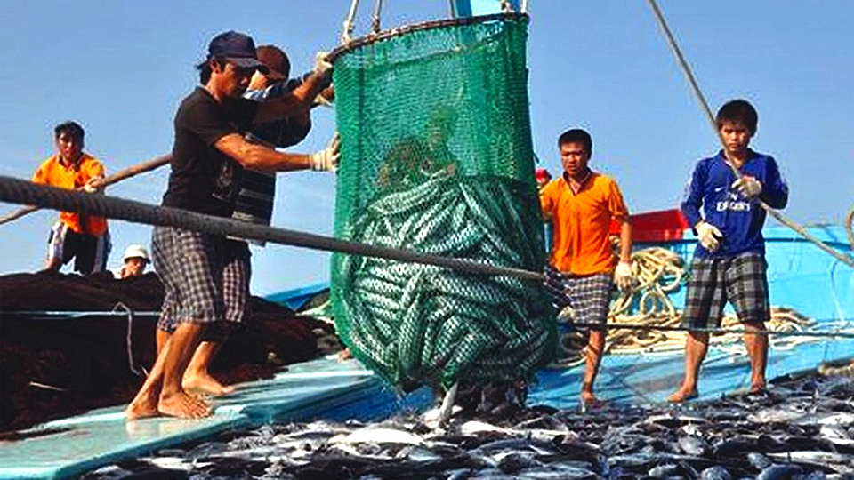 Các nước ASEAN thống nhất hợp tác và phát triển nghề cá