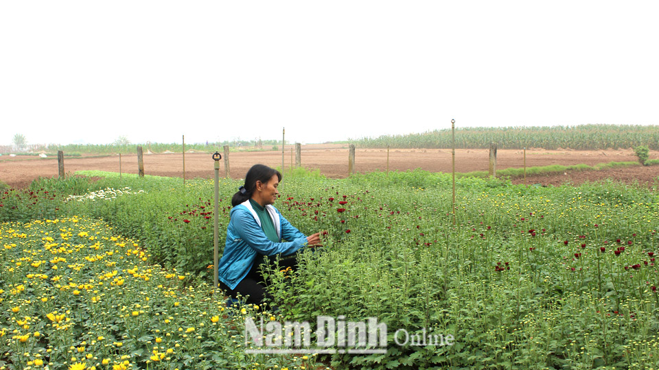 Phụ nữ Nghĩa Minh tham gia xây dựng nông thôn mới nâng cao