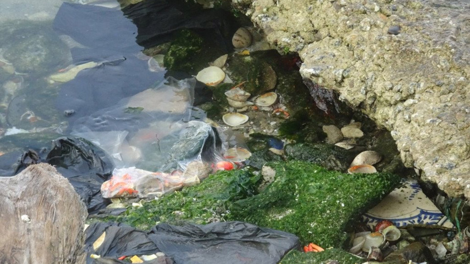 Triển khai hành động về quản lý rác thải nhựa đại dương