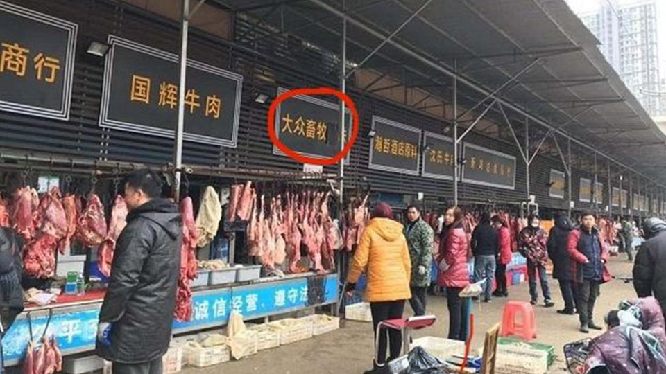 Đại dịch thức tỉnh nhân loại