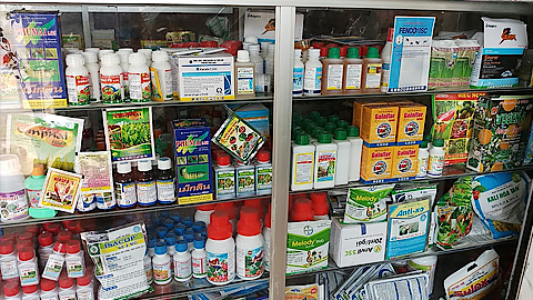 Đề xuất Danh mục thuốc bảo vệ thực vật được phép sử dụng, cấm sử dụng tại Việt Nam