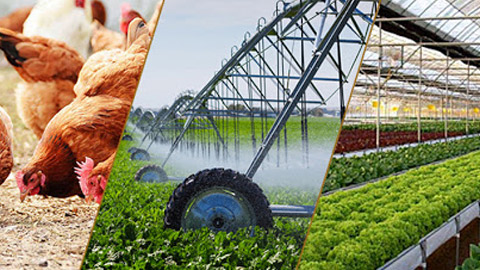 Hỗ trợ 3 tỷ 280 triệu đồng cho các cơ sở sản xuất nông nghiệp áp dụng quy trình kỹ thuật và quản lý chất lượng đồng bộ