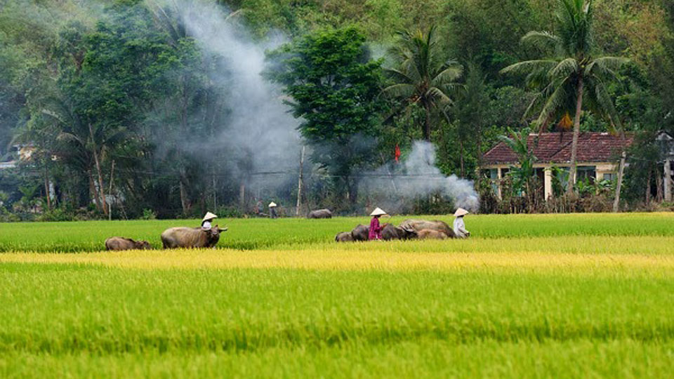 Đoản khúc mùa thu