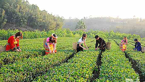 Bắc Giang: Phát huy vai trò của tổ chức đảng trong doanh nghiệp