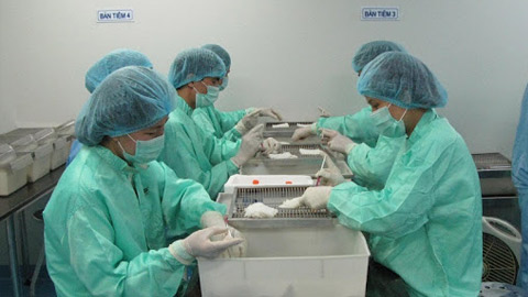 Bộ Y tế xem xét thử nghiệm vaccine COVID-19 trên người