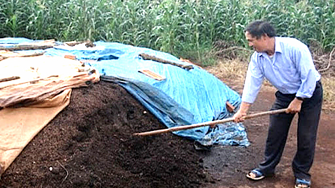 Kỹ thuật ủ phân hữu cơ từ phụ phẩm trồng trọt và chất thải chăn nuôi bằng chế phẩm vi sinh vật