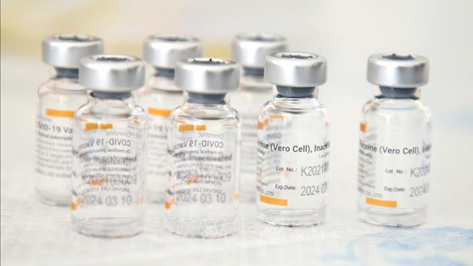 Indonesia tiếp nhận thêm 8 triệu liều vaccine Sinovac